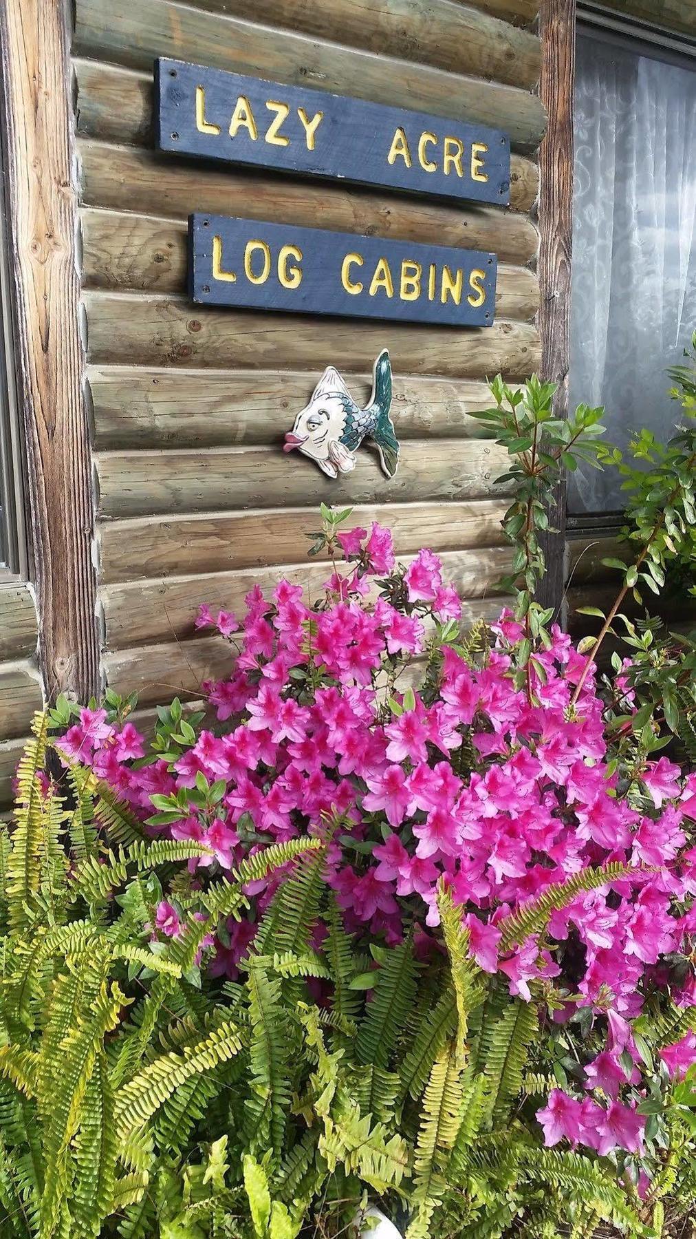 לייקס אינטרנס Lazy Acre Log Cabins מראה חיצוני תמונה