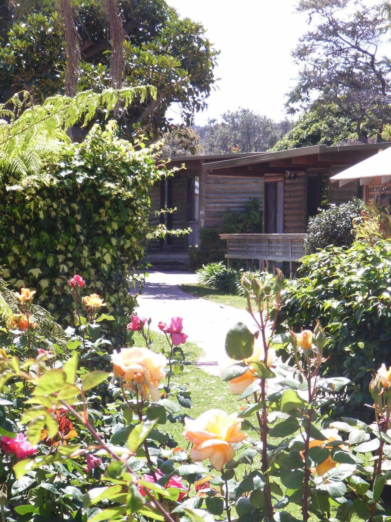 לייקס אינטרנס Lazy Acre Log Cabins מראה חיצוני תמונה